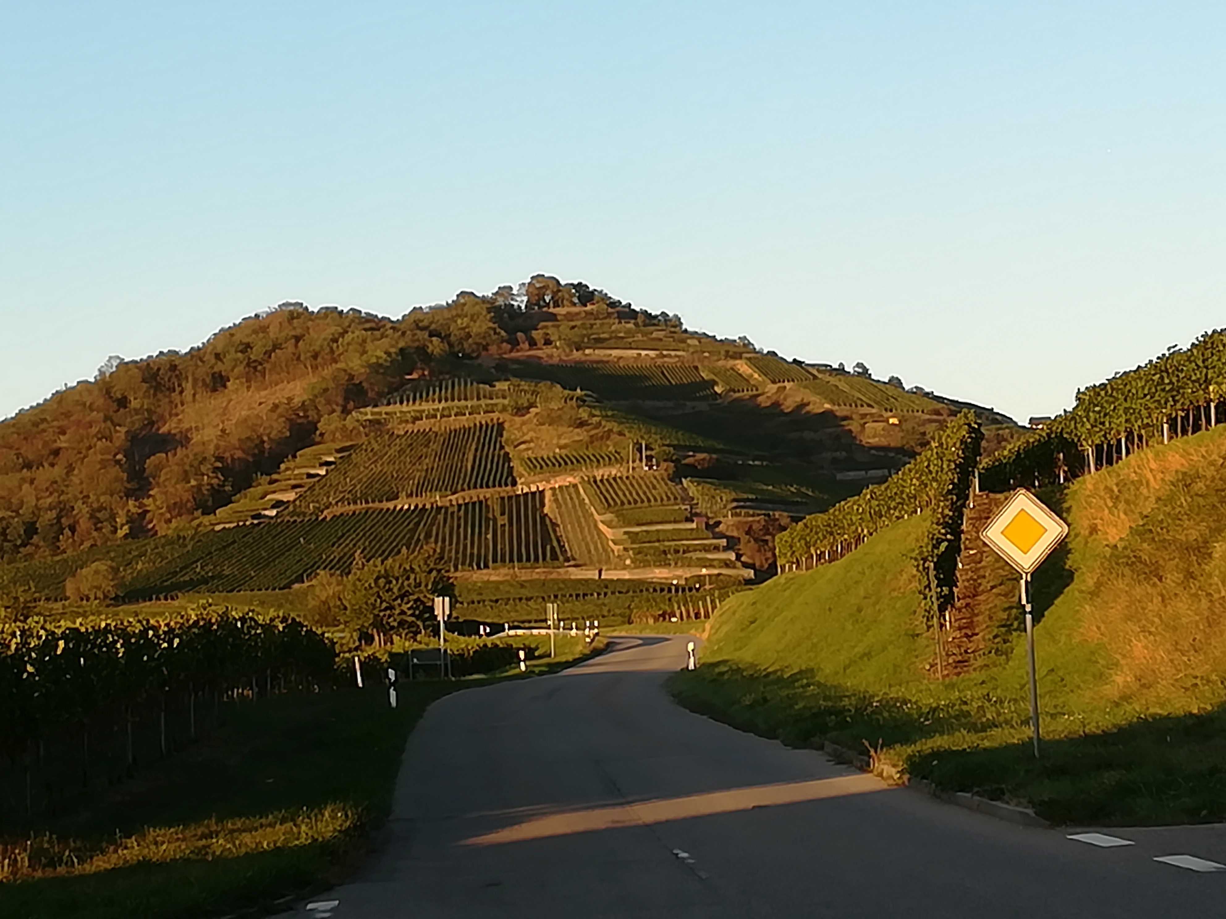 Kaiserstuhl! Die letzte Steigung kommt, auf nach #Achkarren 