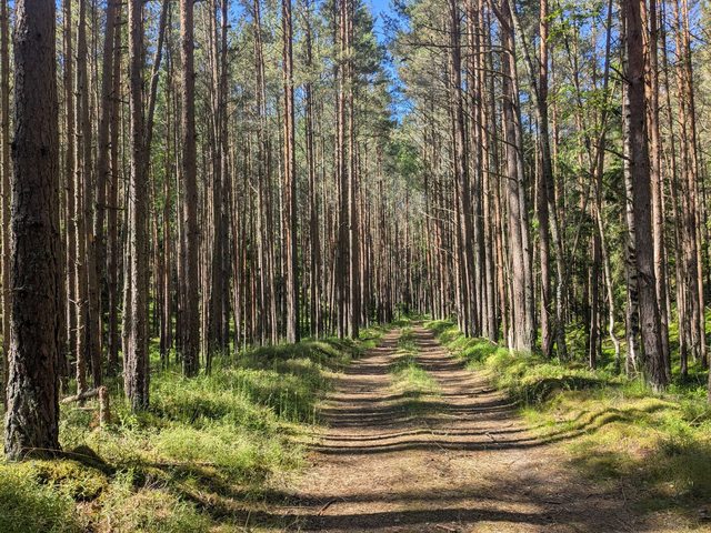 Radweg 567 in Lettland hier ganz smooth