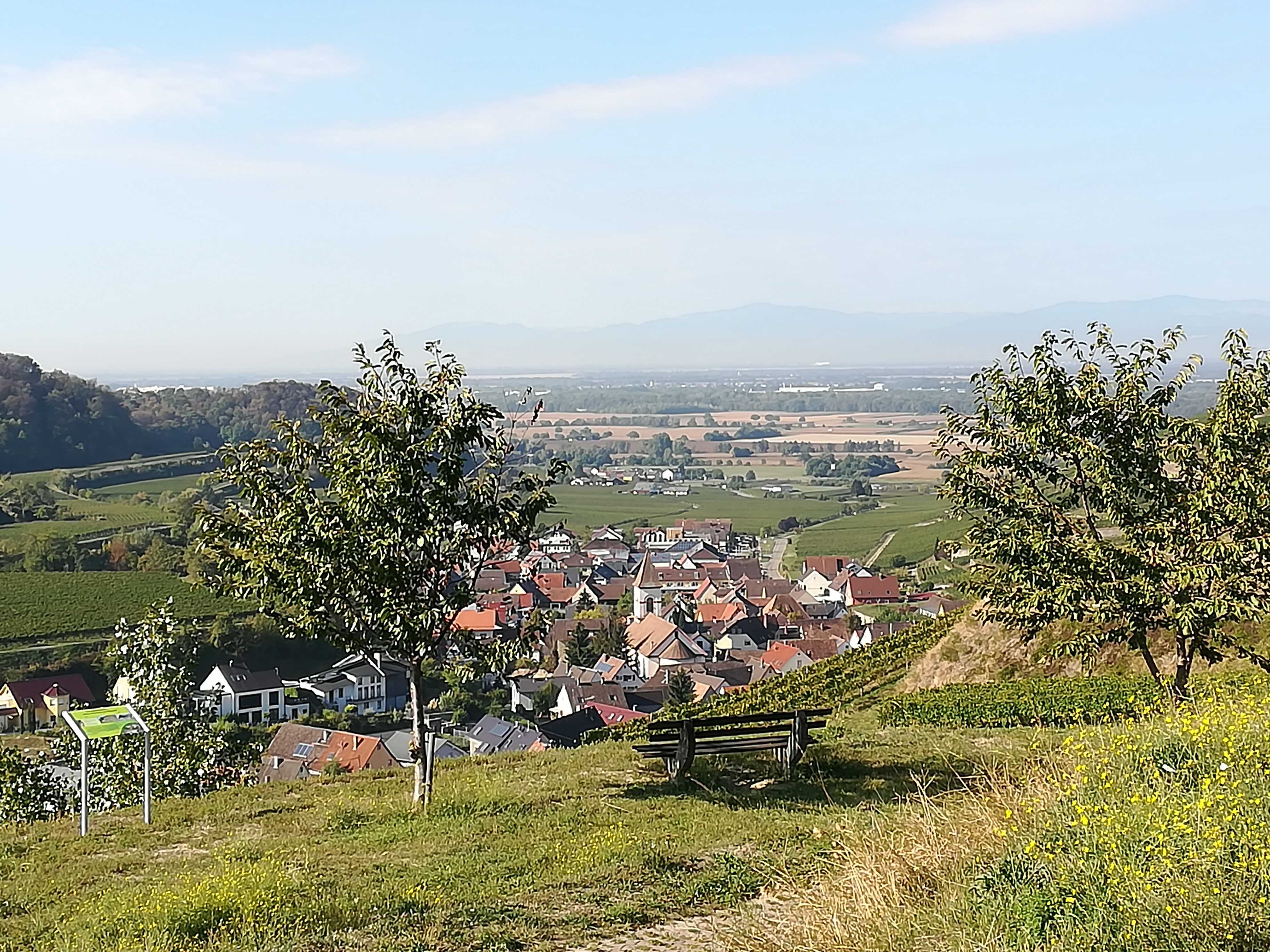 Blick auf Achkarren am Kaiserstuhl der grüne wolf