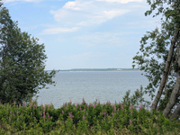Blick in die Bucht bei Kersalu Halbinsel Pakri