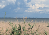 Bucht von Pärnu Küstenstraße nach Lindi