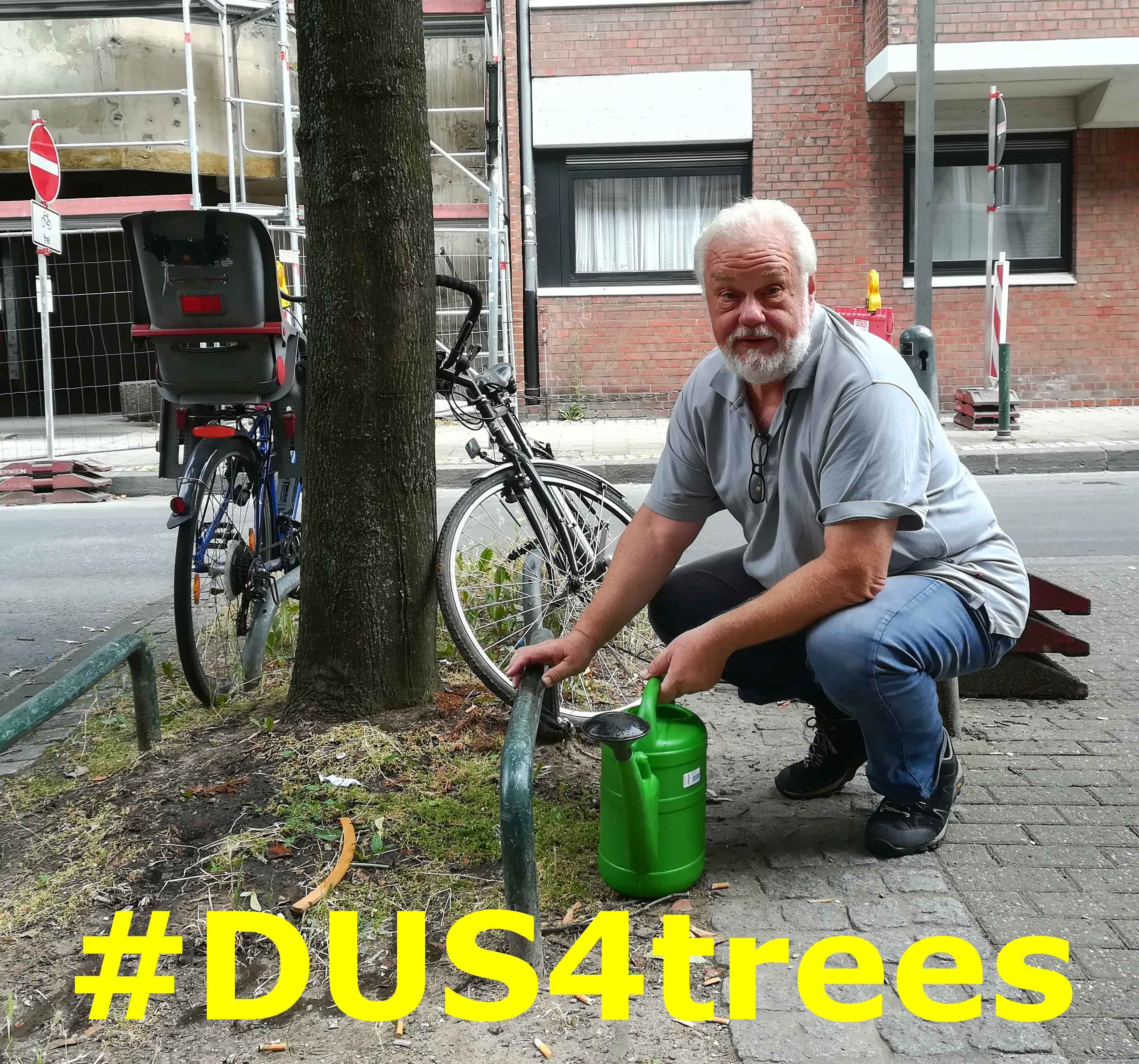 DUS4trees