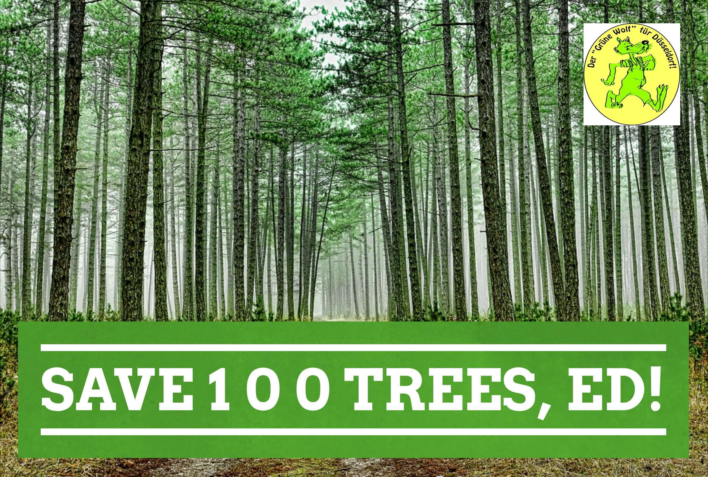 Ed Sheeran is aksed to save 100 trees in Duesseldorf ED SHEERAN please save 100 trees in Düsseldorf