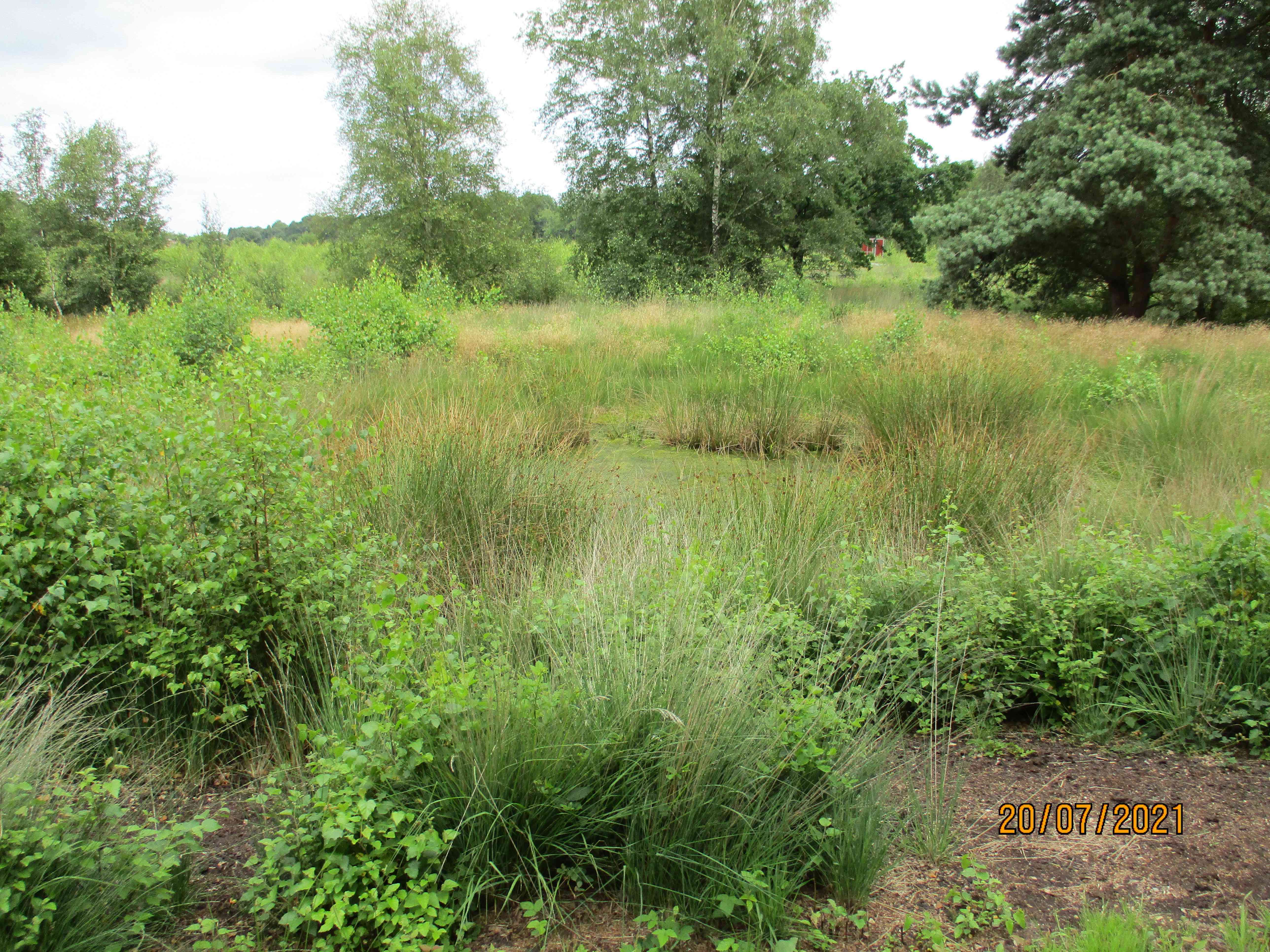 EmsRadweg ab ins Emsland Moormuseum bei Geeste G