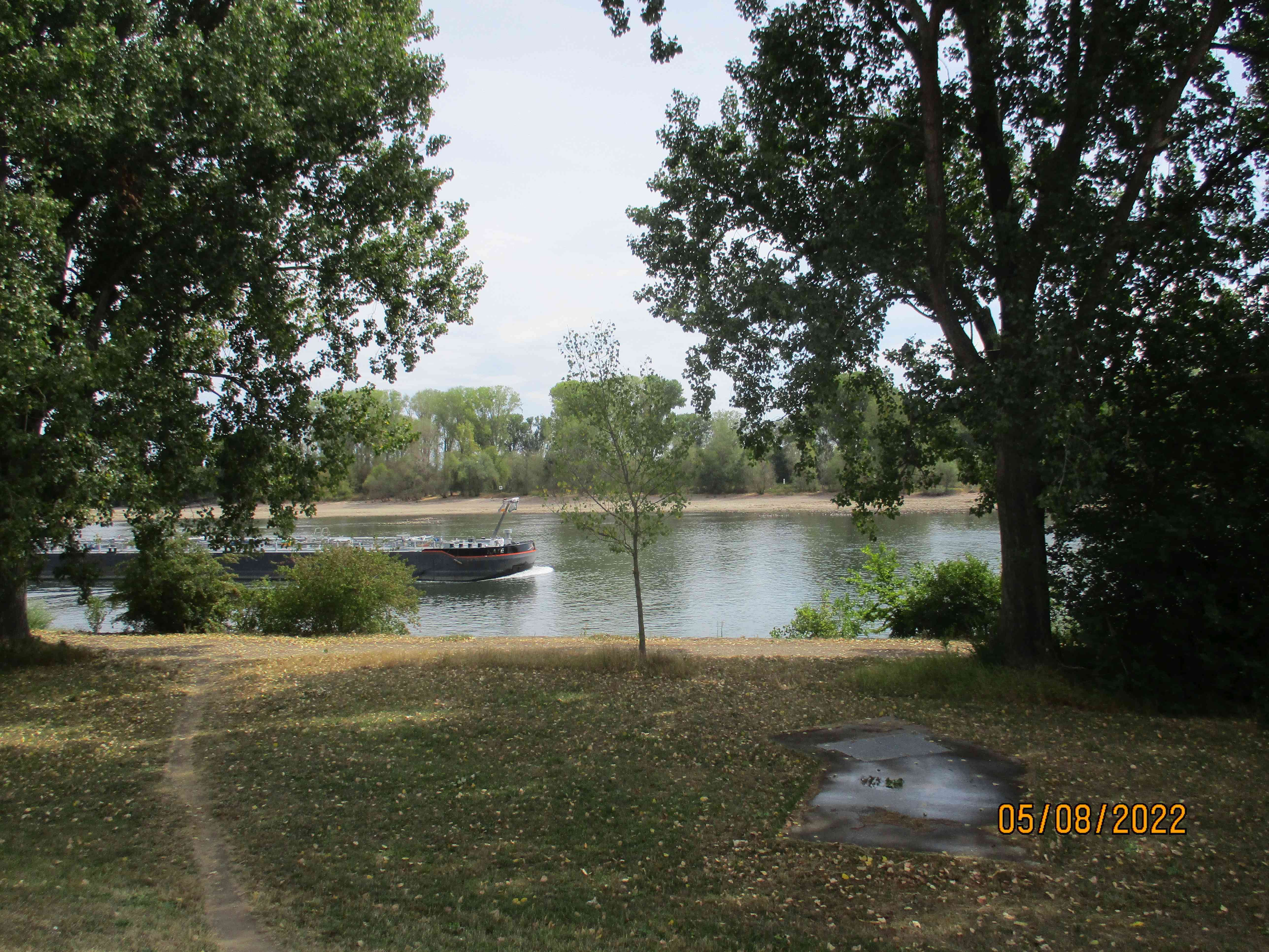 Endlich-am-Rhein-Rheinradweg-Eurovelo-15-bei-Frankenthal