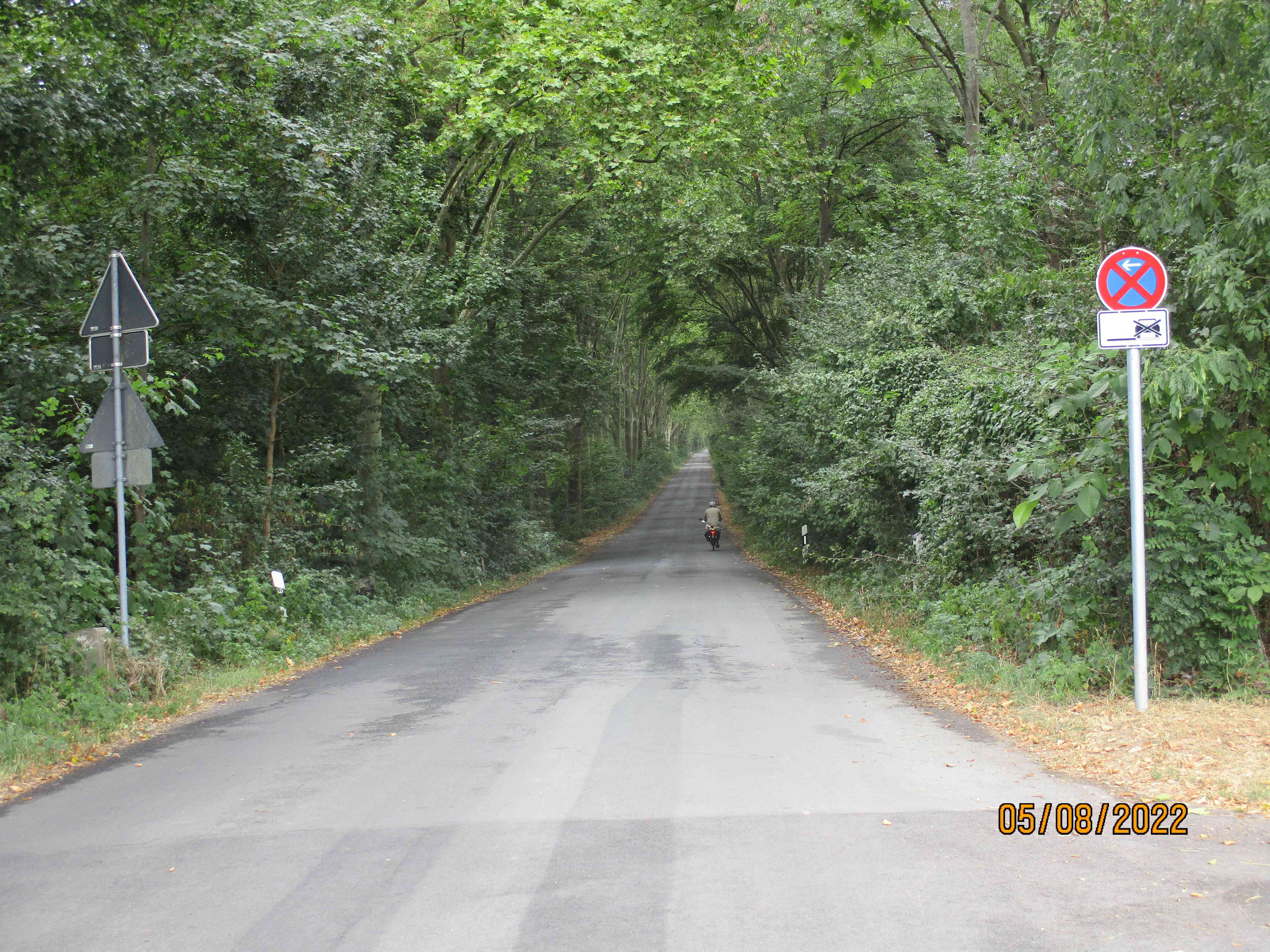 EuroVelo-15-Rheinradweg-frischer-Wind-im-Wäldchen-nahe-Frankenthal