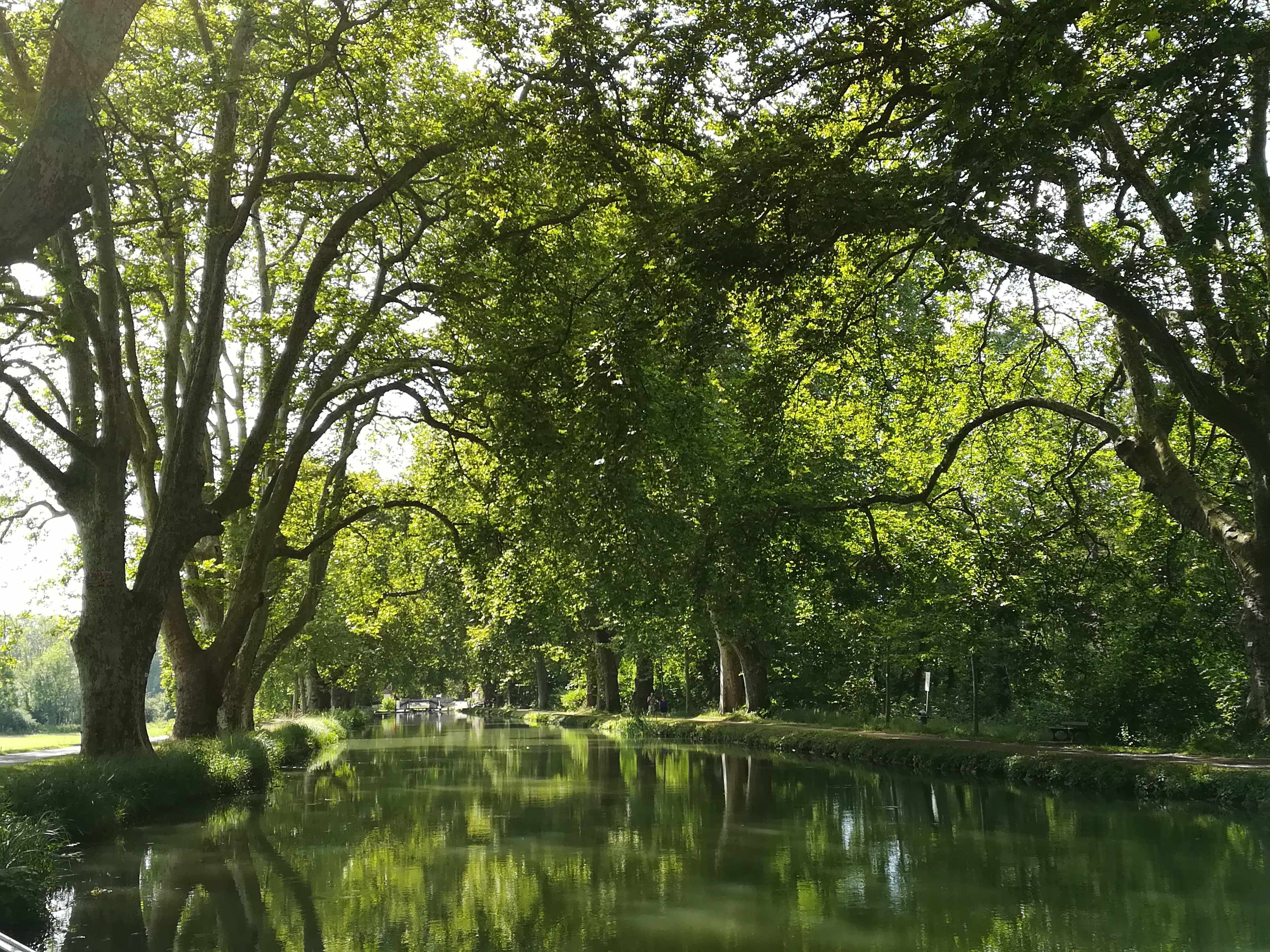 Eurovelo-6-der-kanal-vor-Dole