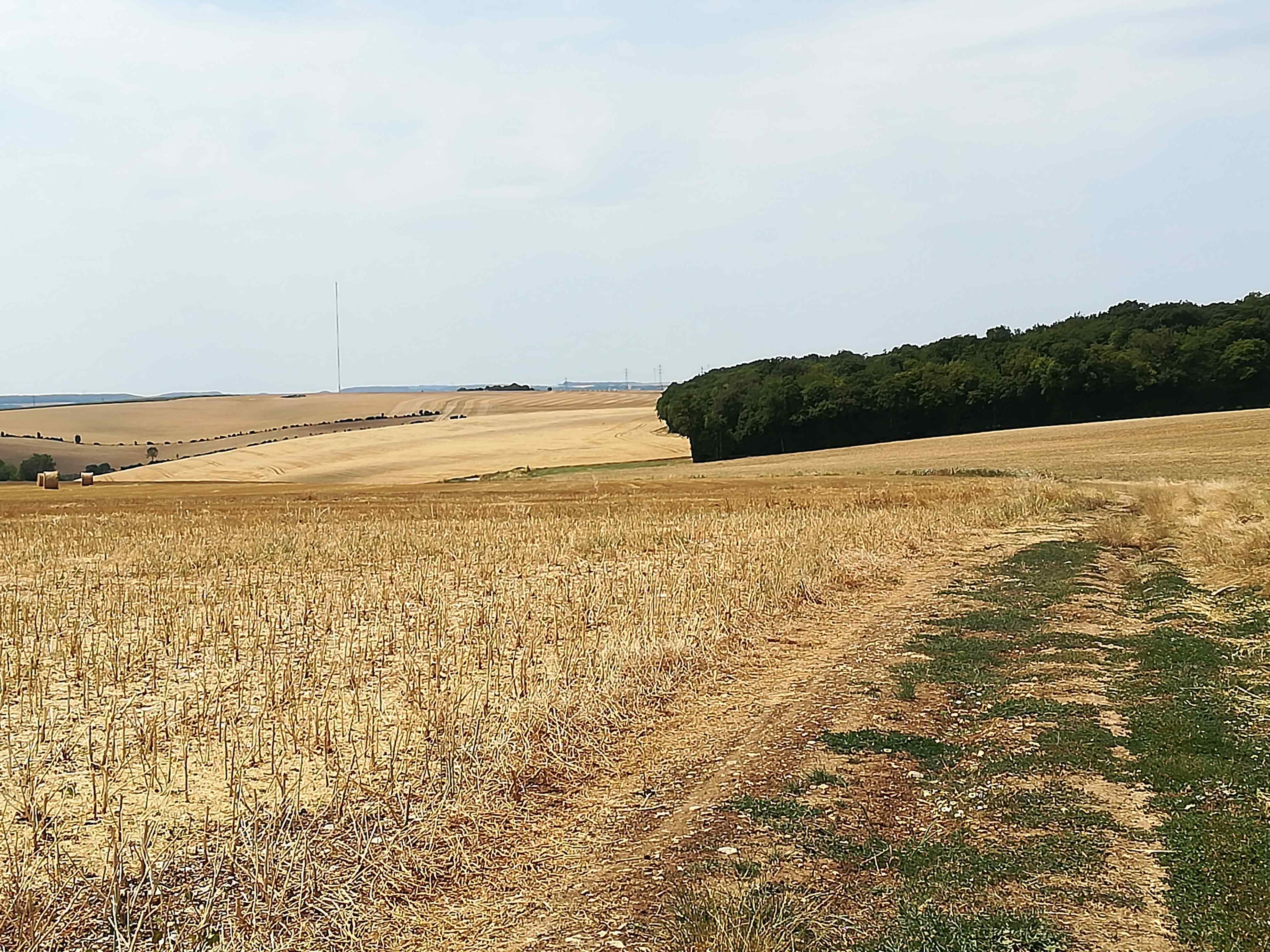 Feldweg nach Douves