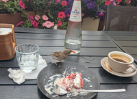Ich kann in Tallinn Kama-Pavlova teilen