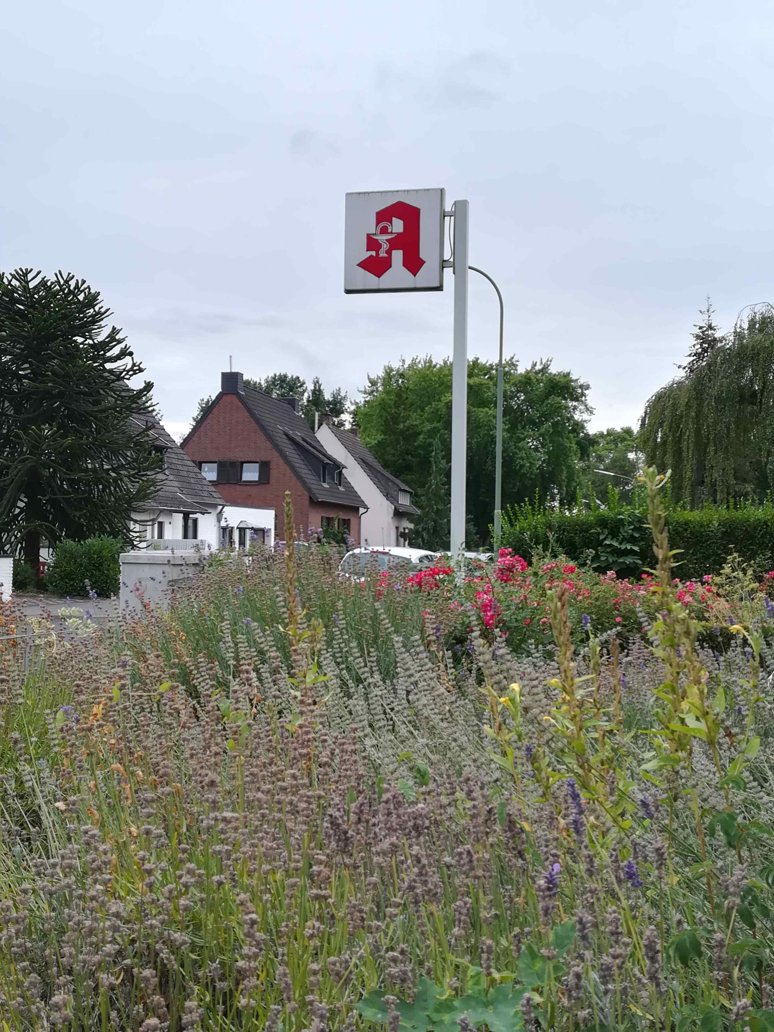 kraeutergarten-roemer-apotheke