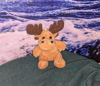 Radreise Baltikum Souvenir