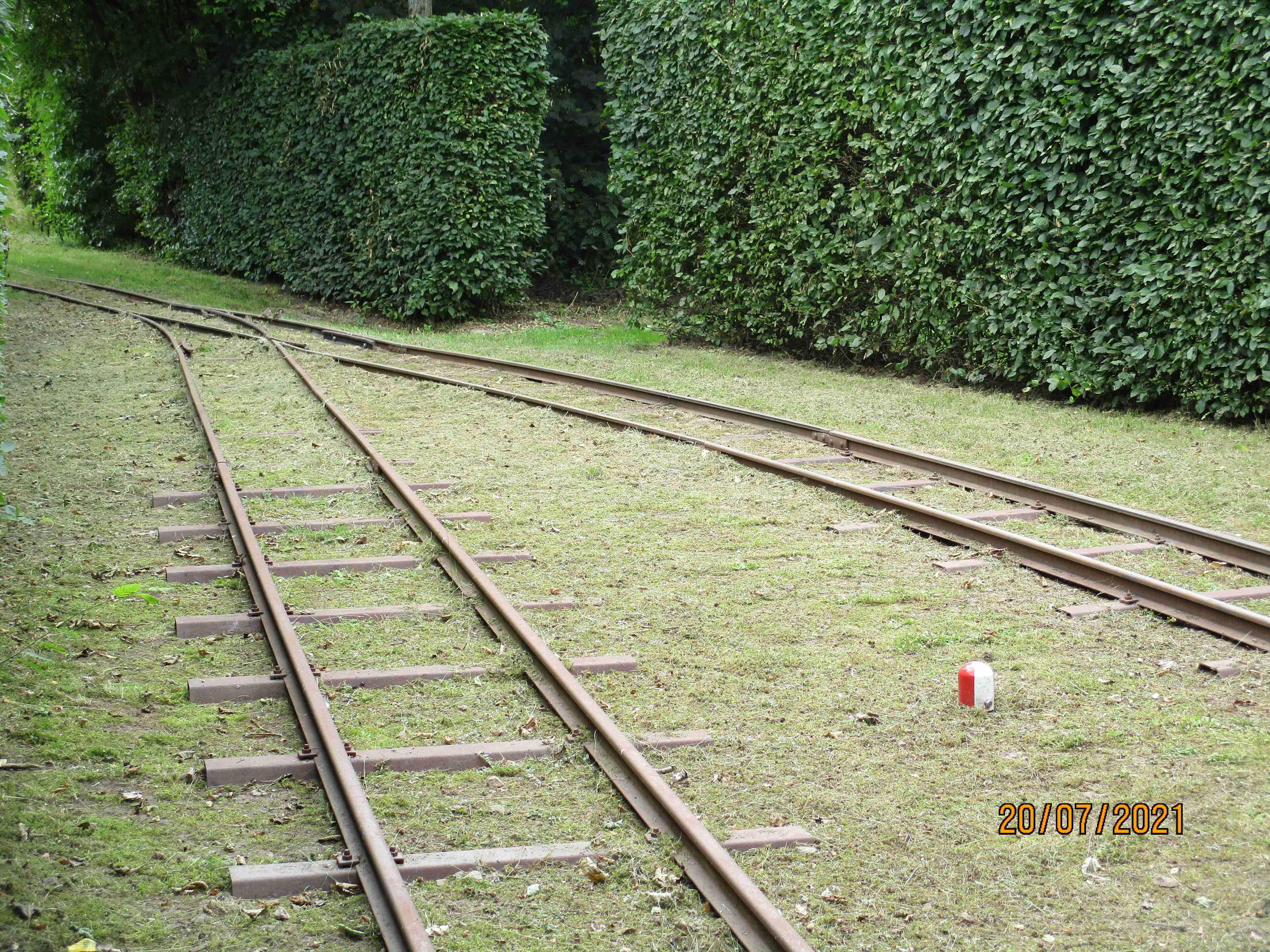 Moorbahn Emsland Moormuseum Feldbahn 11