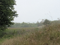 Radreise Baltikum Ostseeküste
