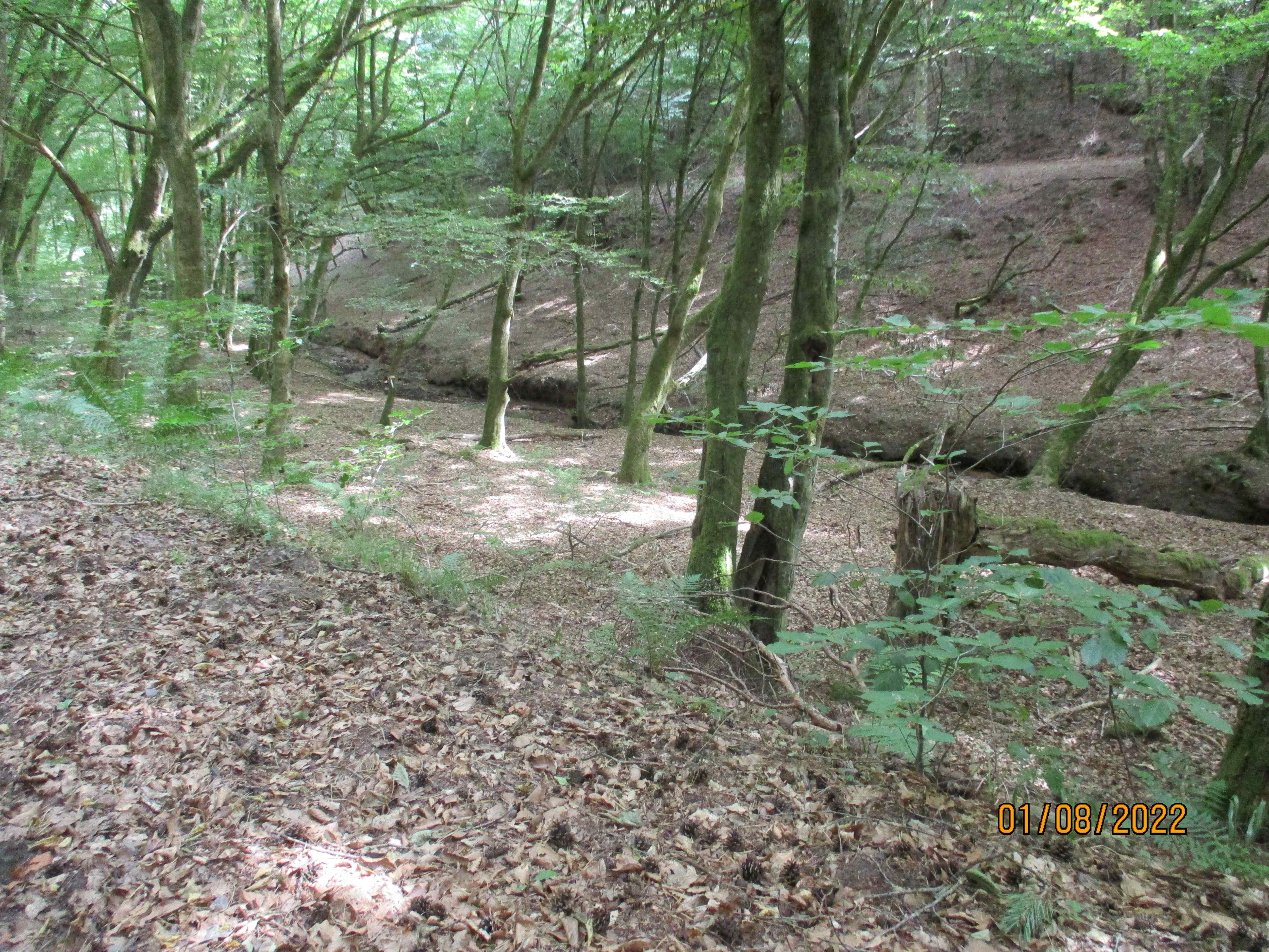 rwald-Wieslauter-Ursprung