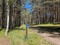 Radreise Baltikum Lettland Radweg 567 nur für robuste Radfahrer