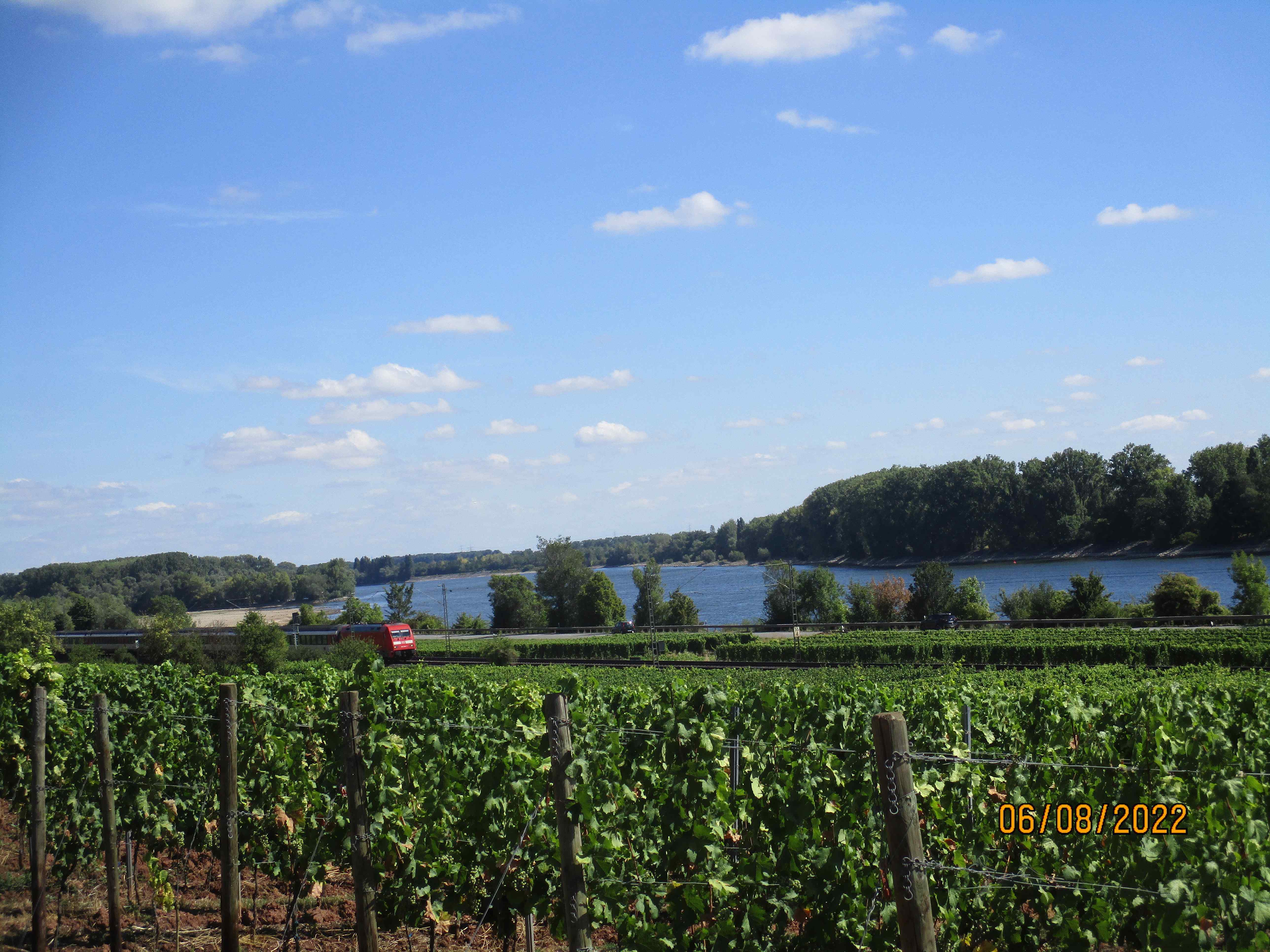 Radreise-Wald-und-Wein-EC-7-Oberrhein-Nierstein