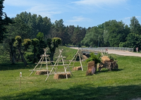 Radreise Baltikum, die Sonnwendfeier wird in Pavilosta mit traditionellen Birkenästen vorbereitet