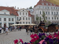 Tallin Altstadt Kutschfahrt gefällig?