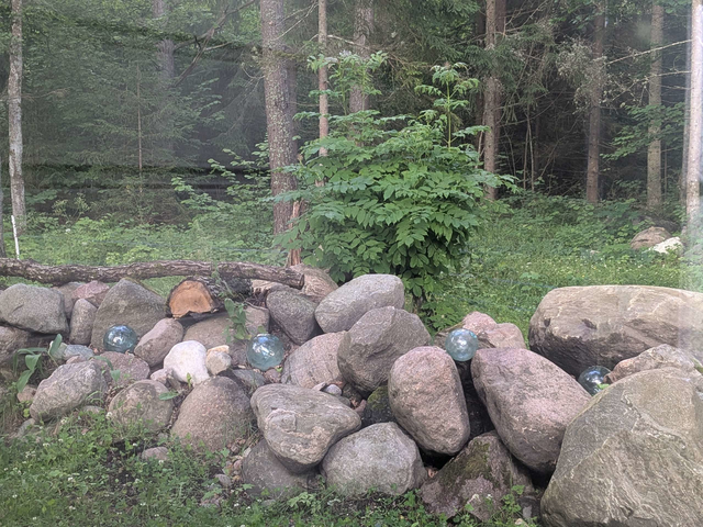 Tammamäe WC mit Waldblick
