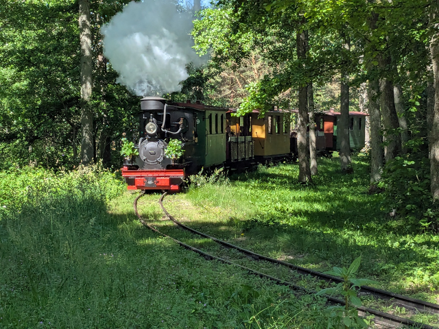 Ventspils Museumsbahn im Park, "Mazbānītis" übersetzt "Die kleine Maschine"