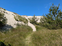 Wanderdüne Kurische Nehrung