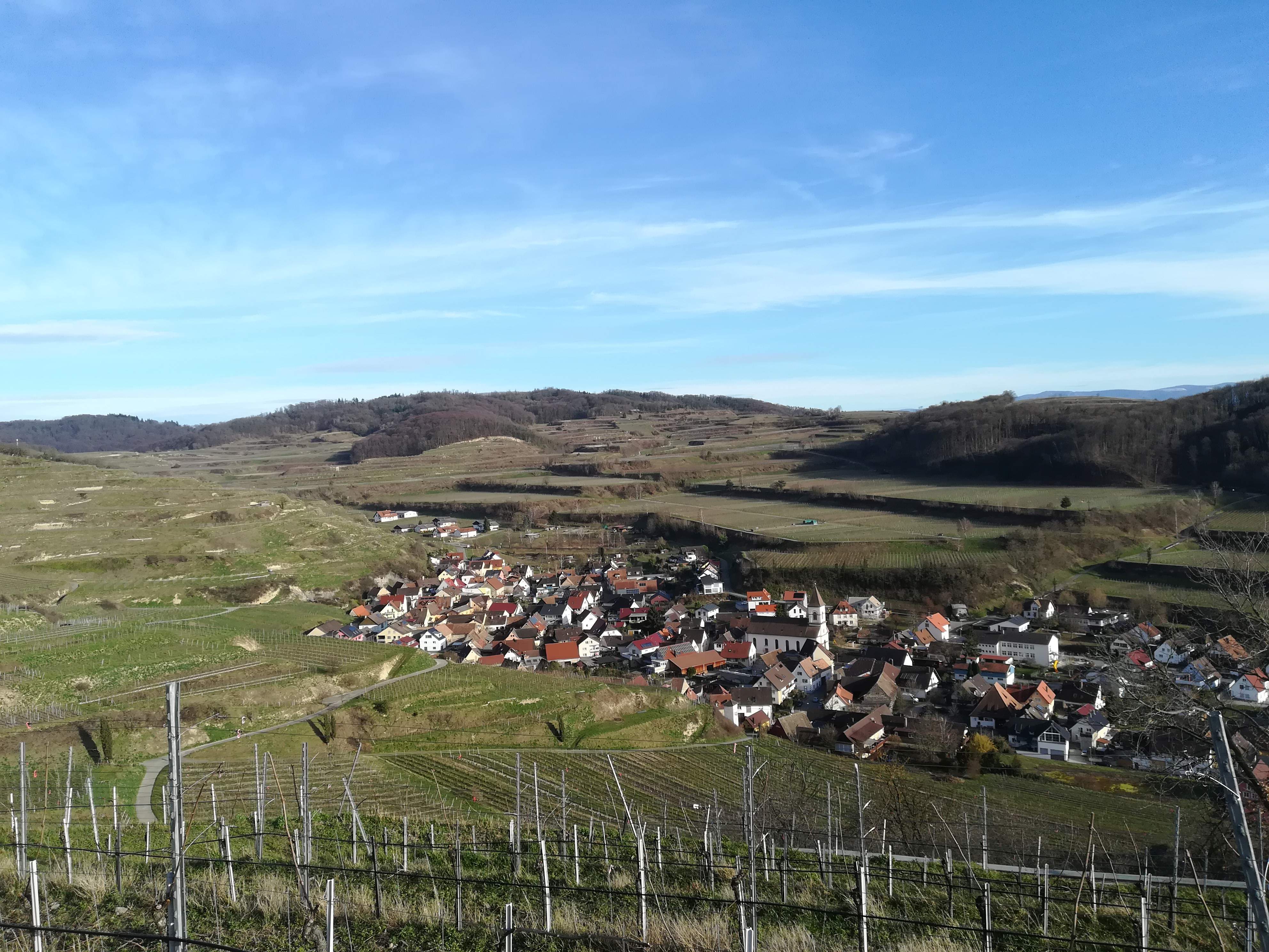 #Weinradeln nach Achkarren am Kaiserstuhl