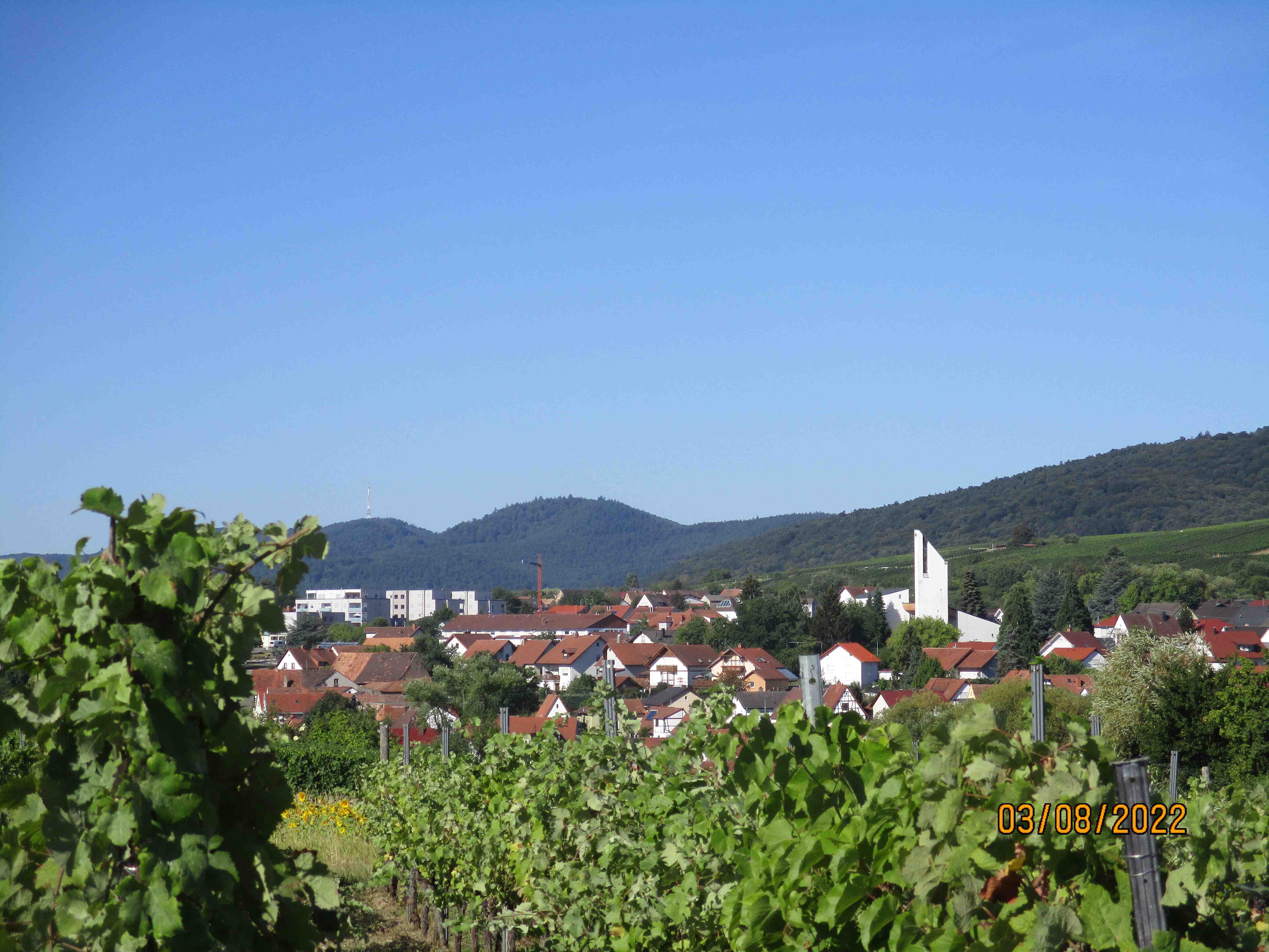 Weinstrasse-blick-auf-Schweiigen-Rechtenbach