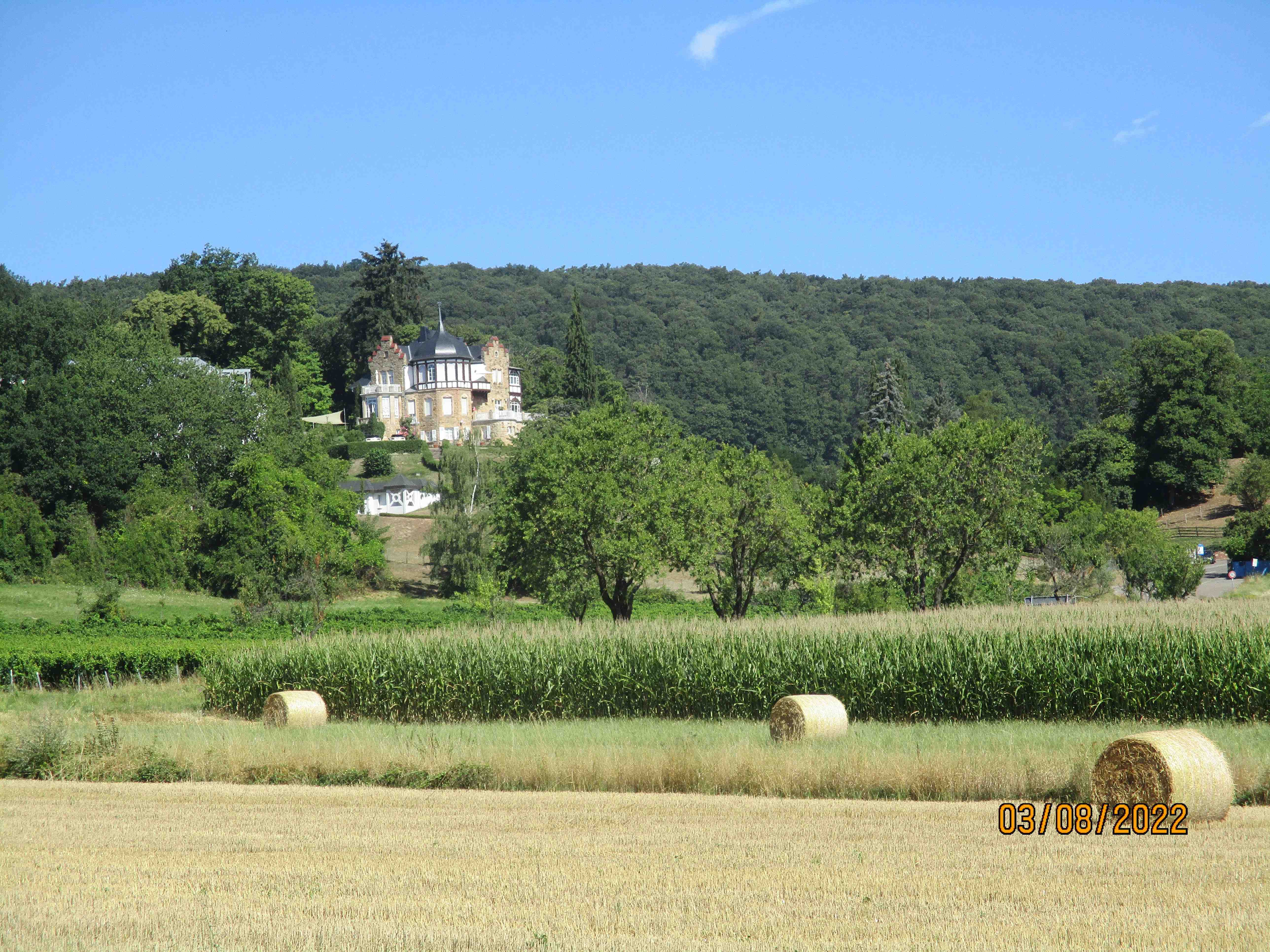 weinstrasse-villa-bad-bergzabern