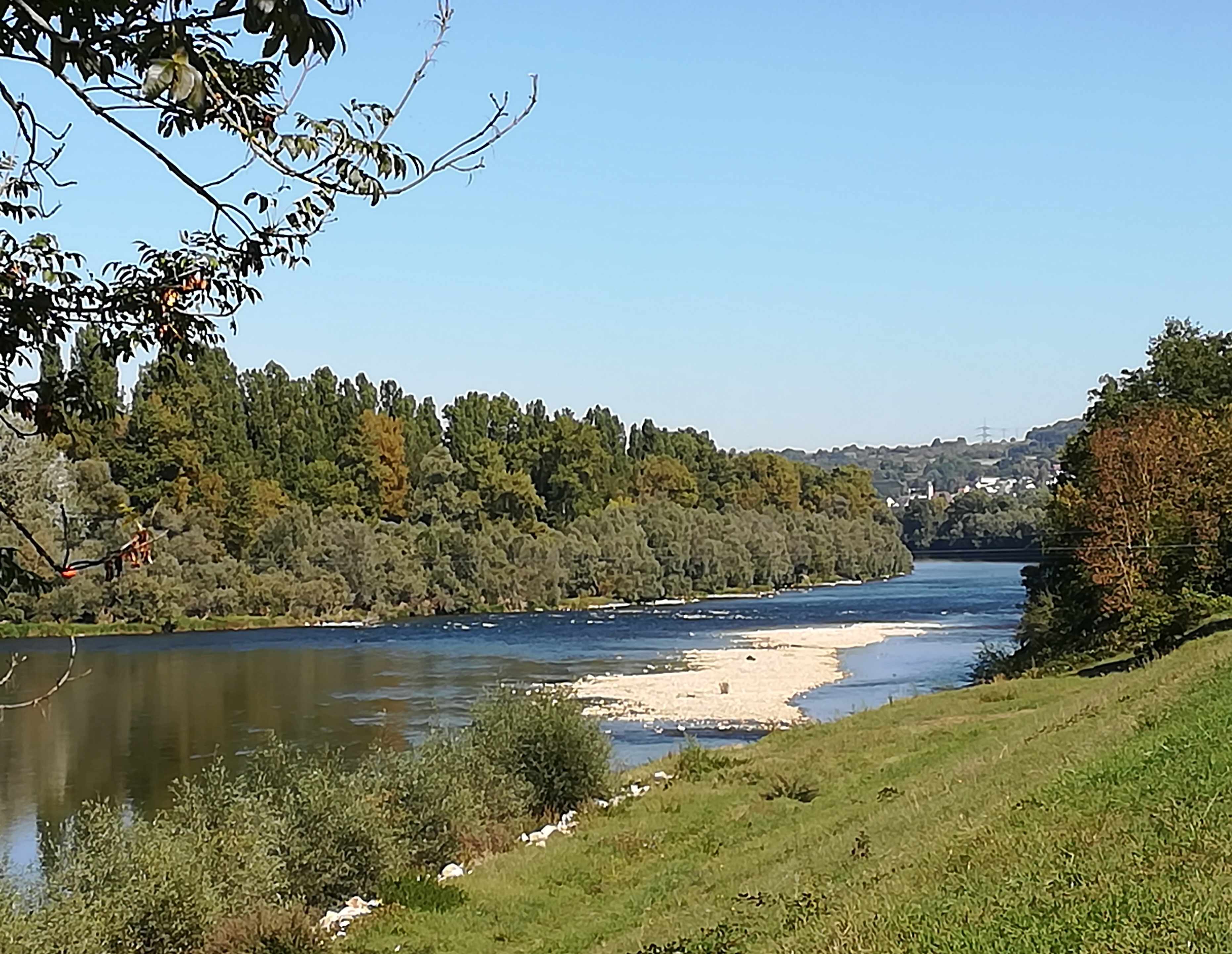 Wilder Oberrhein Vater Rhein