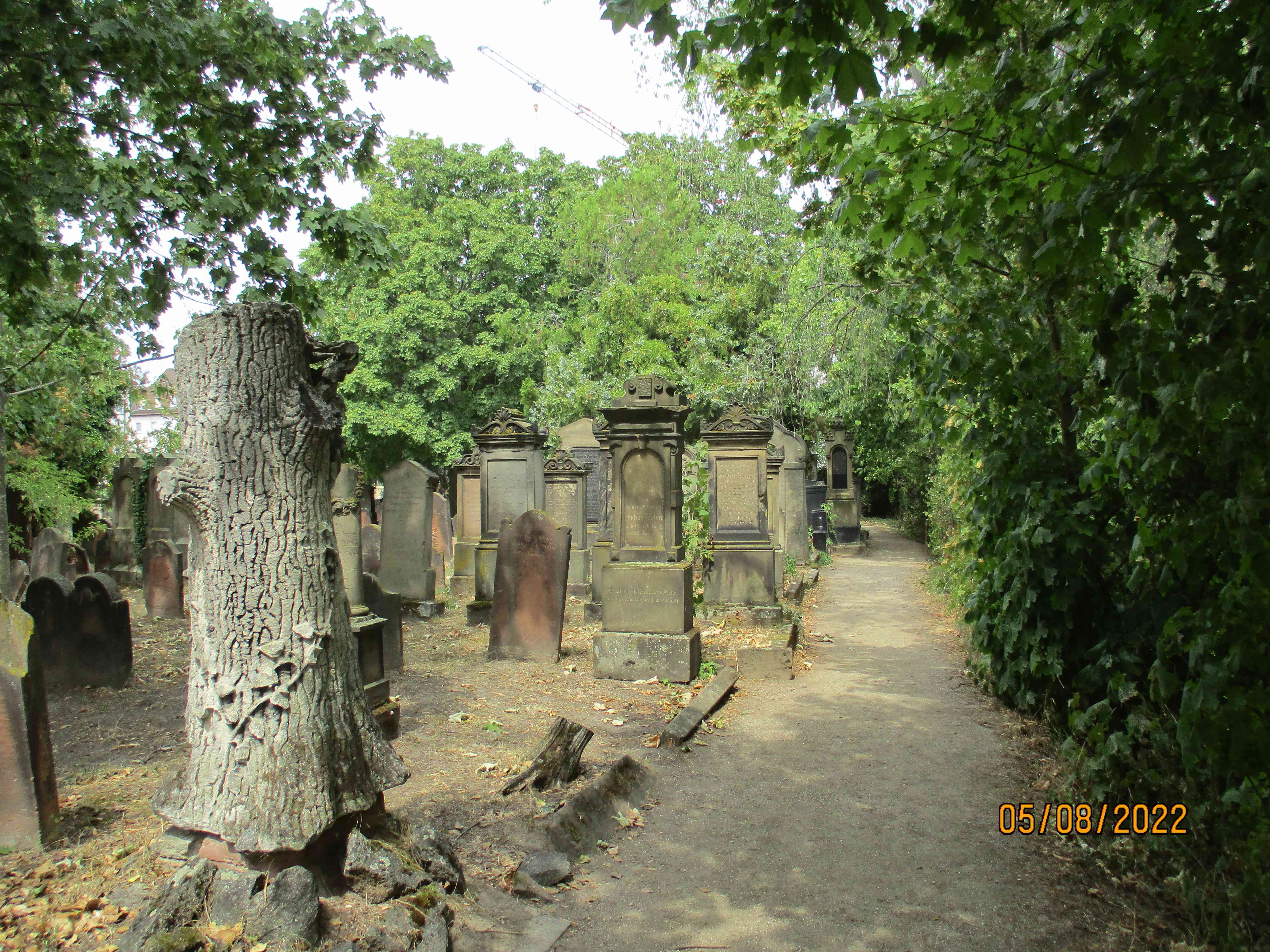 Worms-juedischer-friedhof-heiliger-sand-2f