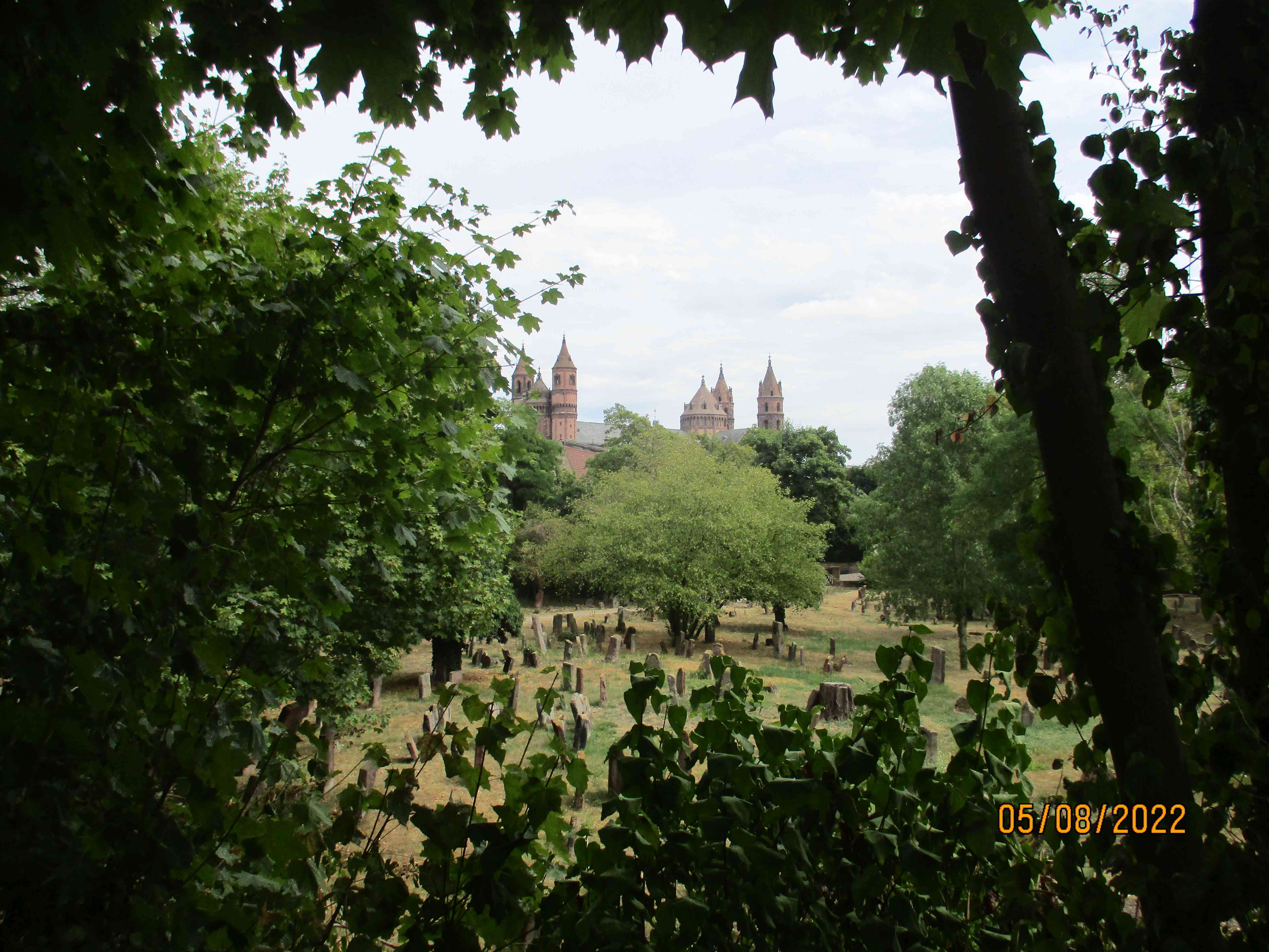 worms-juedischer-friedhof-heiliger-sand-buberblick